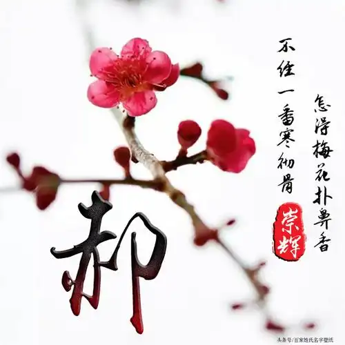 【编号698】水墨,古风,山水,国画,梅花-微信头像,百家姓氏微信头像