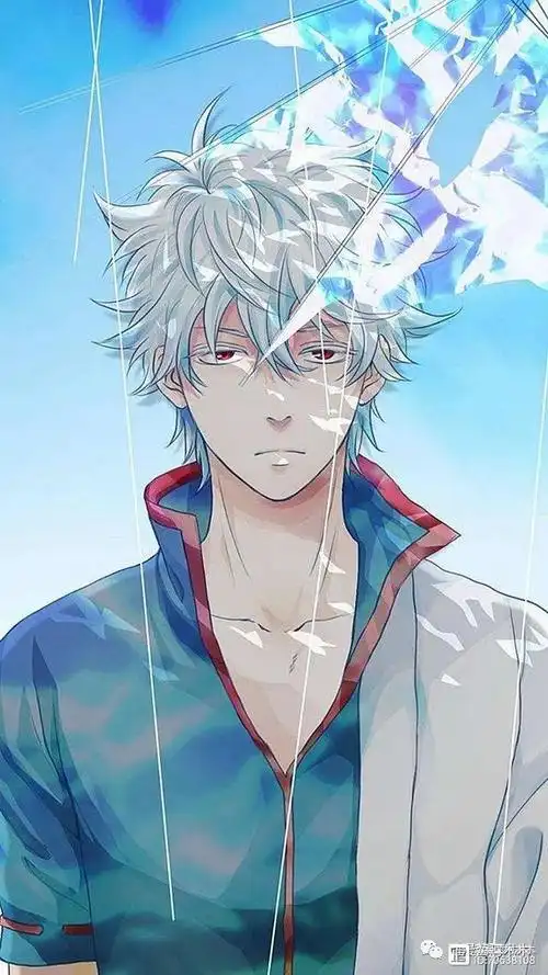 头发为漂亮的银白色,神使状态为短发,妖怪状态为长发(在tv中被变小又