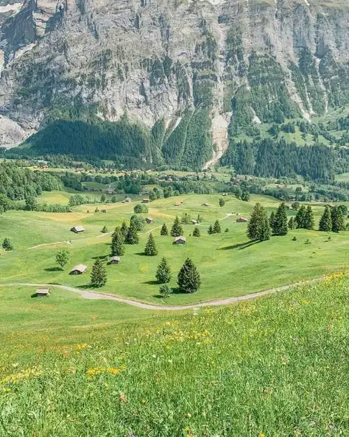 风景壁纸|瑞士|草原