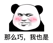 这么巧,我也是 - 熊猫头斗图表情包_斗图表情