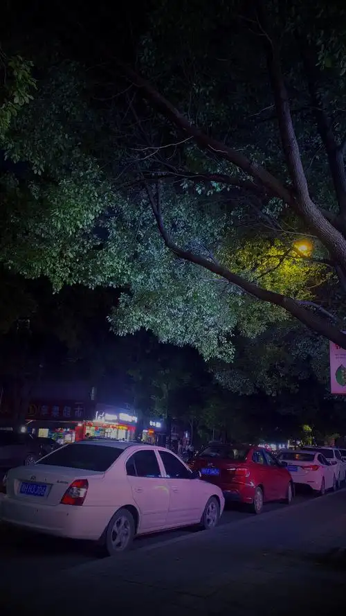 夜晚的街道还是那么安静