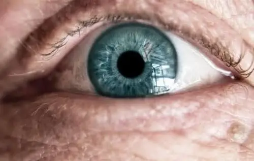 塔罗占卜:哪一个眼睛最让人害怕?测你心里住着什么鬼!