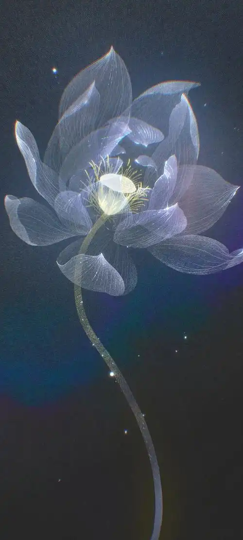 黑夜里发光的荷花手机壁纸