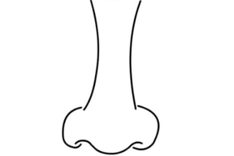 正脸鼻子简笔画