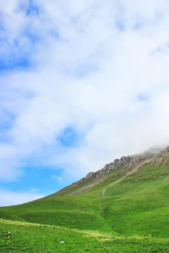 高寒草甸,清除背景与绿色的群山和美丽的天空