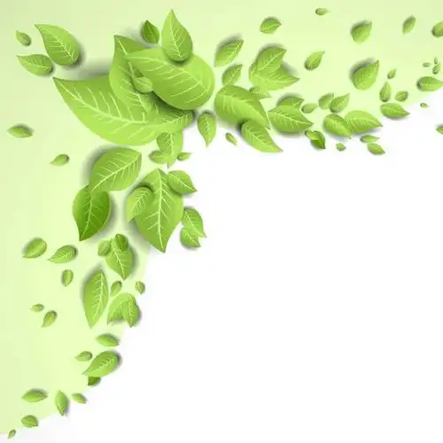 淘宝绿色清新简约绿叶psd主图背景素材