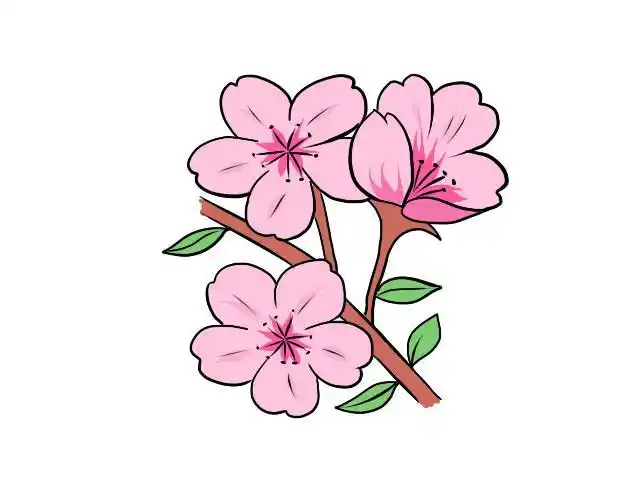 画樱花的画法画