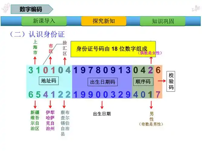 三年级数学上册课件数字编码人教版17张ppt