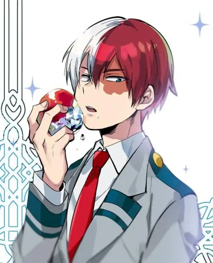 我的英雄学院:冰火两重天——半冰半火的少年轰焦冻