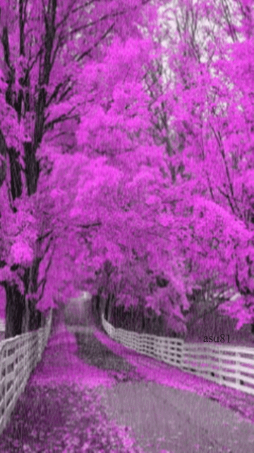 360_640竖版 竖屏gif 动态图 动图