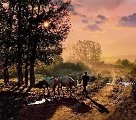 20年前的农村老照片满满都是回忆总有一张触动你