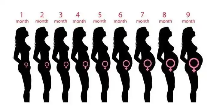 孕早期有褐色分泌物怎么办?接好孕_胚胎_情况_血液