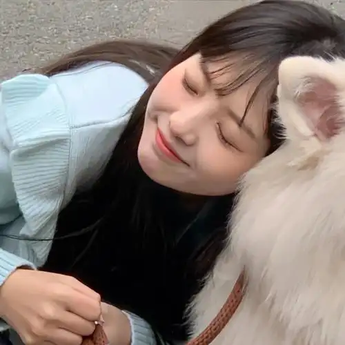 分享两组对象不是人的情头