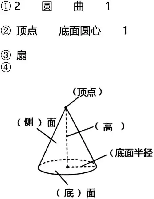 ③把圆锥的侧面