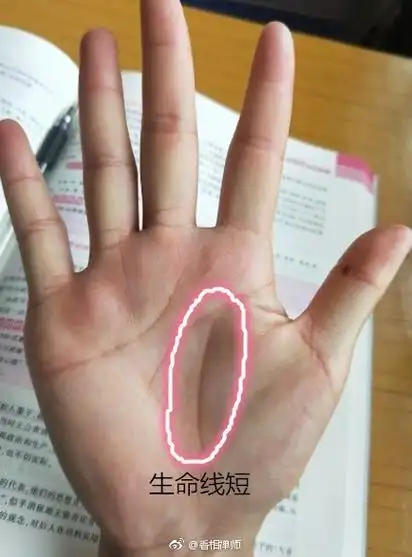 古手相学中的地纹也就是现在的生命线是人体手掌三大主线之一