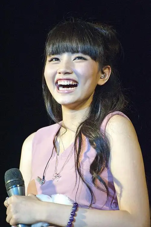 快乐女声刘惜君是哪一届(2009快女全国第五刘惜君简介)