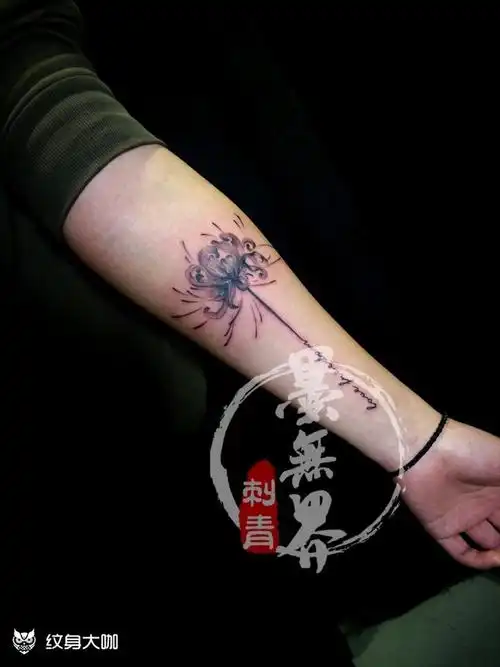 彼岸花_纹身图案手稿图片_左刚的纹身作品集