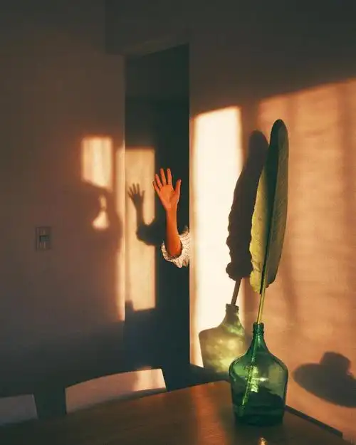 法式 光影迷藏 慵懒午后 背景图ins 壁纸冷淡