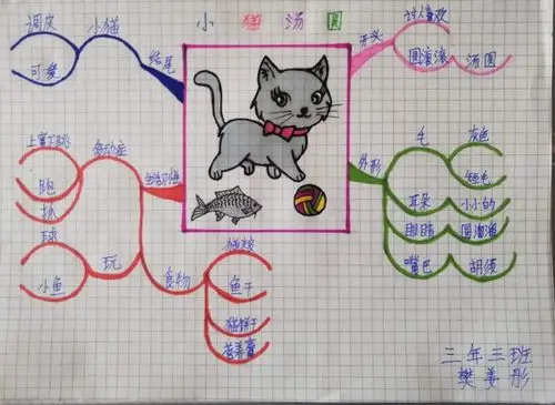 三年三班小朋友思维导图可爱的小动物