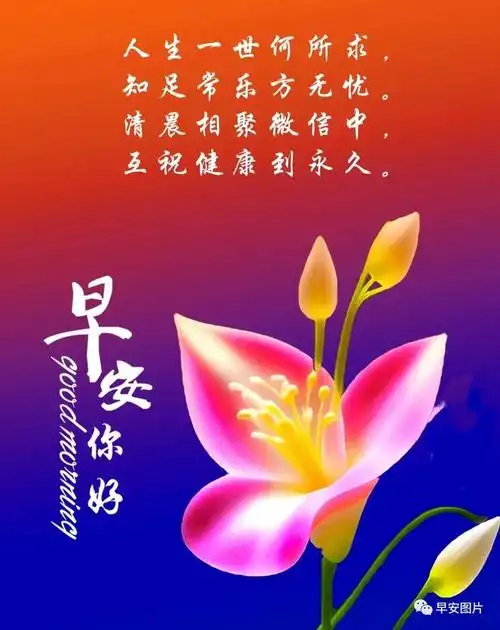 8月23日早安祝福图片暖心早上好问候语温馨祝福大全