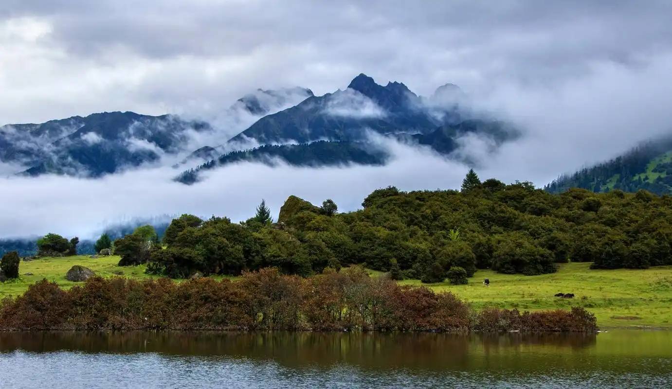 鲁朗林海 图/cfp