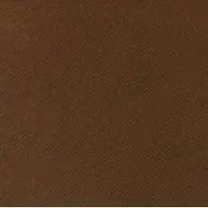 棕色:中国传统色彩名词,棕毛的颜色,即褐色.