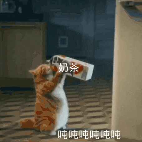 480_480gif 动态图 动图