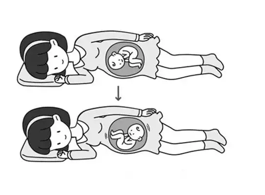 胎方位示意图_有来医生