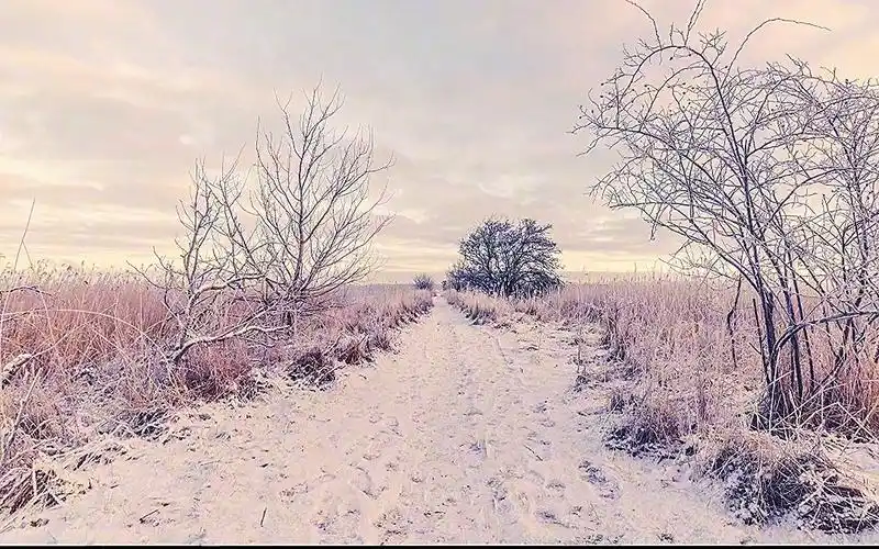 2021年度最火古风歌曲,说说你最喜欢哪一首?