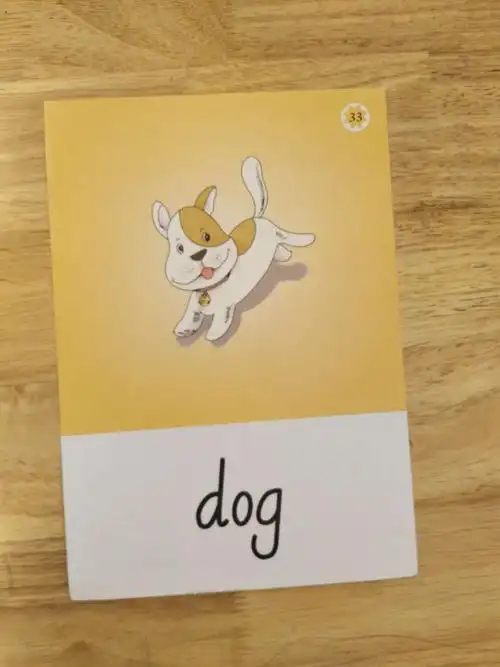 你们知道"下午好"用英语怎么说吗? :我还带来了小动物蛋糕.