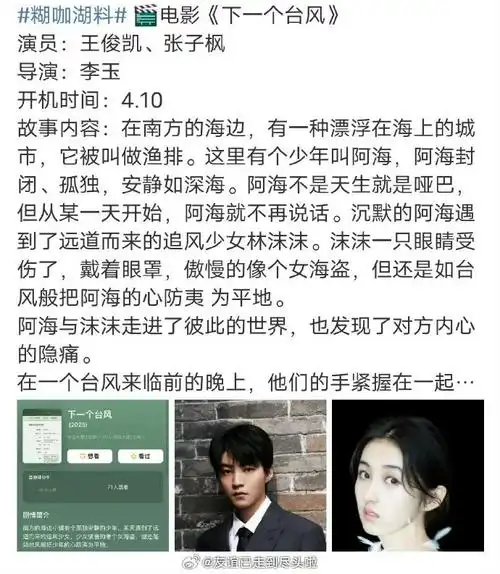 但是王俊凯不演了,粉丝觉得这部电影在用王俊凯热饼  #张子枫 下一个