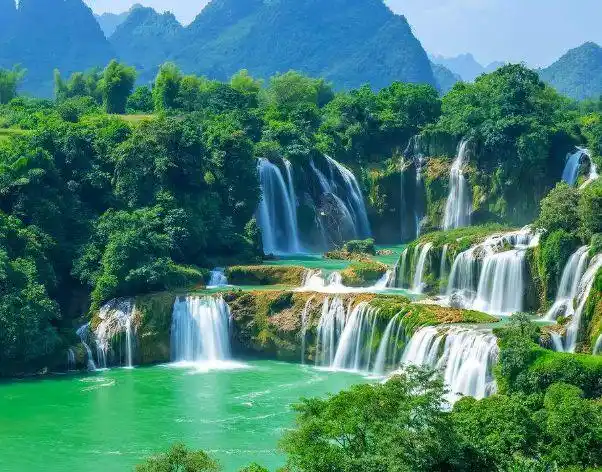 属虎人是一大五行阳木的生肖,命理旺盛,求财顺心,得财神爷"偏心"相助