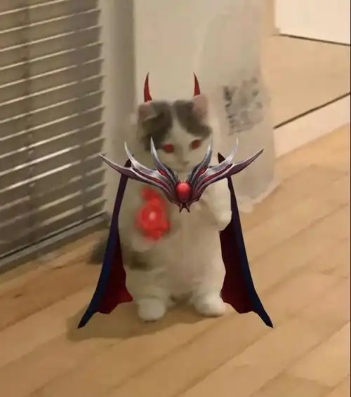 英雄联盟猫猫表情包第三期