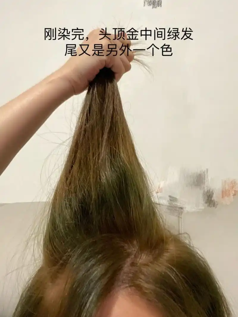 头发染爆顶如何褪色 我,这次想染个闷青冷棕色,谁知道爆顶就算了还染