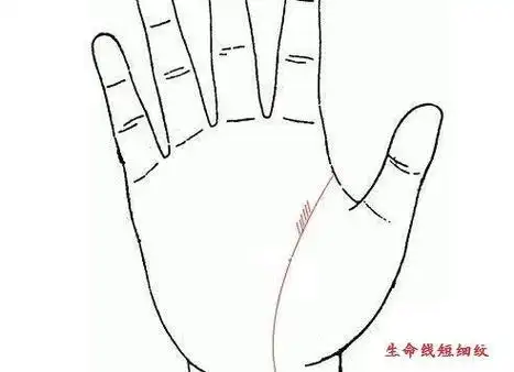 生命线尾端有菱形纹