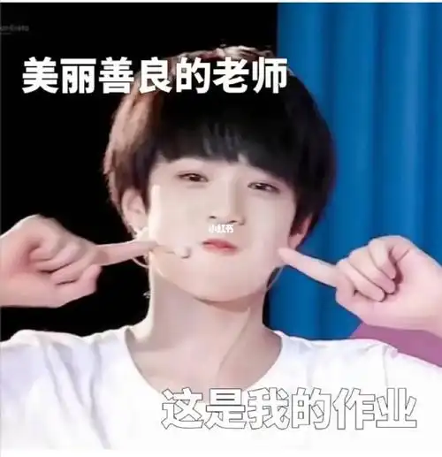 交作业的表情包#刘耀文  #tf三代