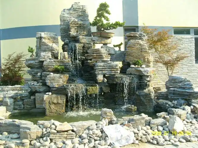 怎么办啊我家院子里弄了个水池,里面有假山