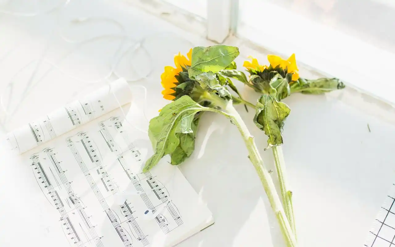 简约小清新唯美治愈系意境壁纸高清大图预览1920x1200_高清壁纸下载