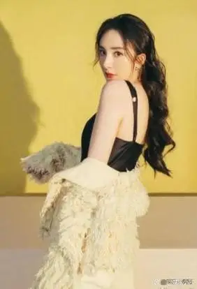 香港四美台湾四美大陆四美哪个让你惊艳呢哪组颜值最强