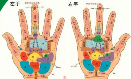 首页 本院动态 > 正文 70个病理反射区,能针对百种病          手部和