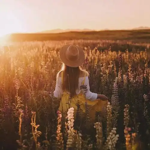 阳光中背影女生头像图片