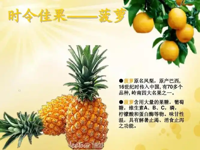 动画之水果种类介绍ppt