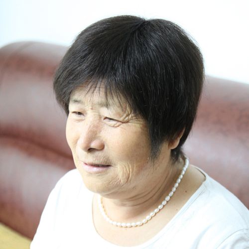 老年人假发短发全真真人透气自然奶奶全头黑色日常整顶假发