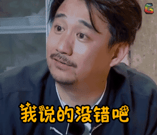 极限挑战我说的没错吧黄磊soogifsoogif出品gif动图_动态图_表情包