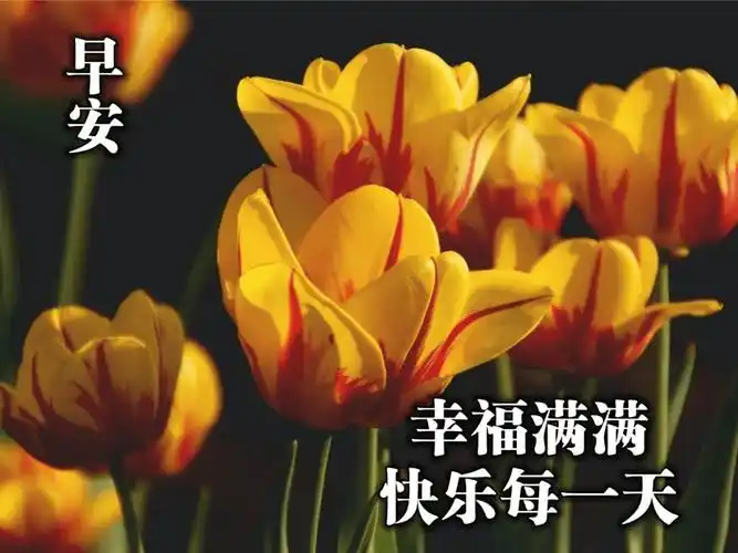 原创最新早上好问候语及关心话2021年清晨问好的句子动态表情动画图