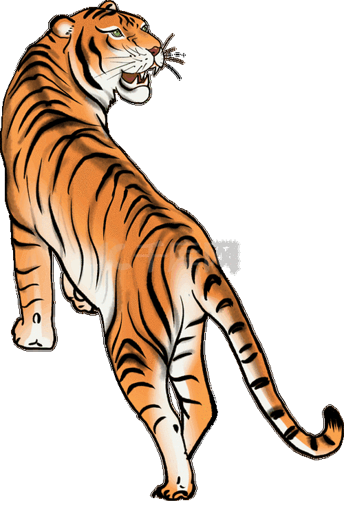 老虎动物 素材图片免费下载-千库网
