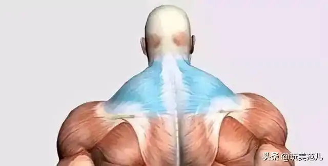有一种胖,叫斜方肌发达. - 简书