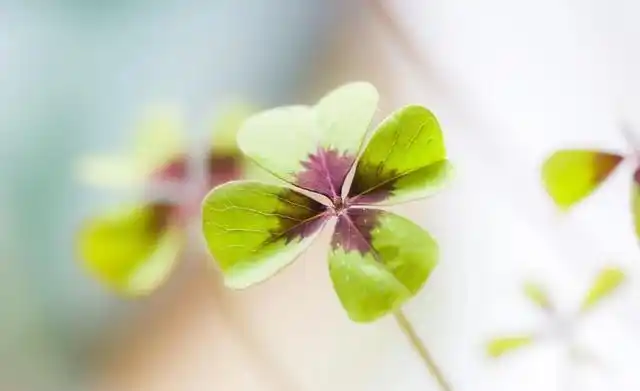 四大关键词,11个愿望:一起迎接2021年!