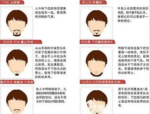 胡须种植的各个类型
