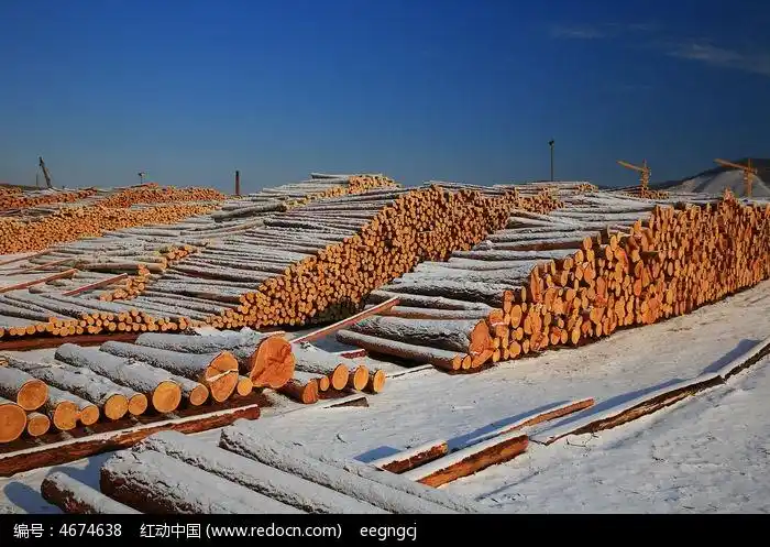 贮木场的木材